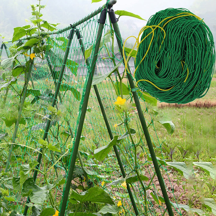 Garden Nylon Netting Trellis Net Vegetables Bean Plants Climbing Grow Supporting freeshipping - Etreasurs