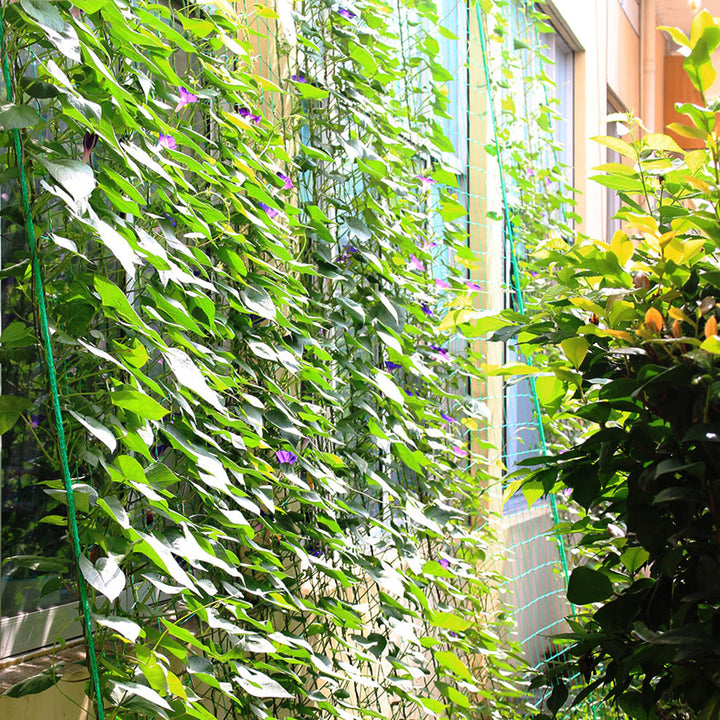 Garden Nylon Netting Trellis Net Vegetables Bean Plants Climbing Grow Supporting freeshipping - Etreasurs