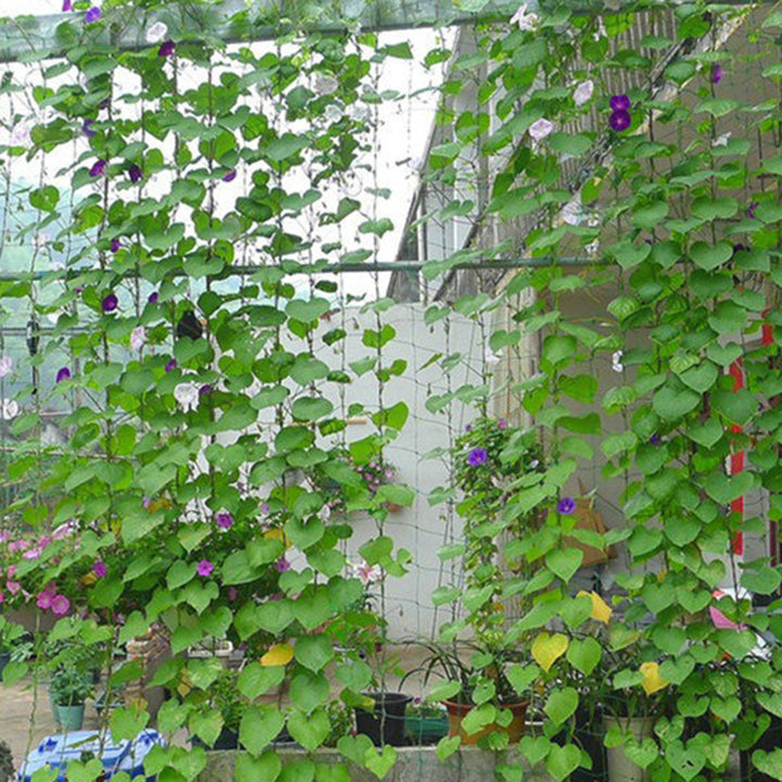 Garden Nylon Netting Trellis Net Vegetables Bean Plants Climbing Grow Supporting freeshipping - Etreasurs