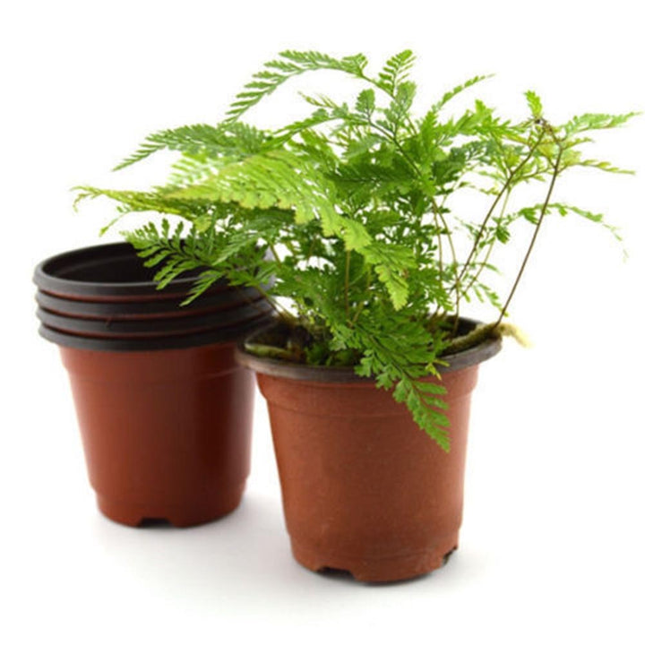 10 Pcs Small Plastic Round Flower Pot Terracotta Nursery Planter Home Decor freeshipping - Etreasurs
