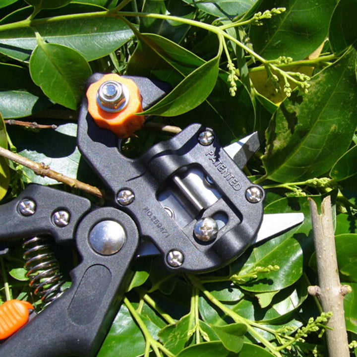 Stainless Steel Garden Fruit Tree Pruning Shears Grafting Cutting Scissors Tool freeshipping - Etreasurs