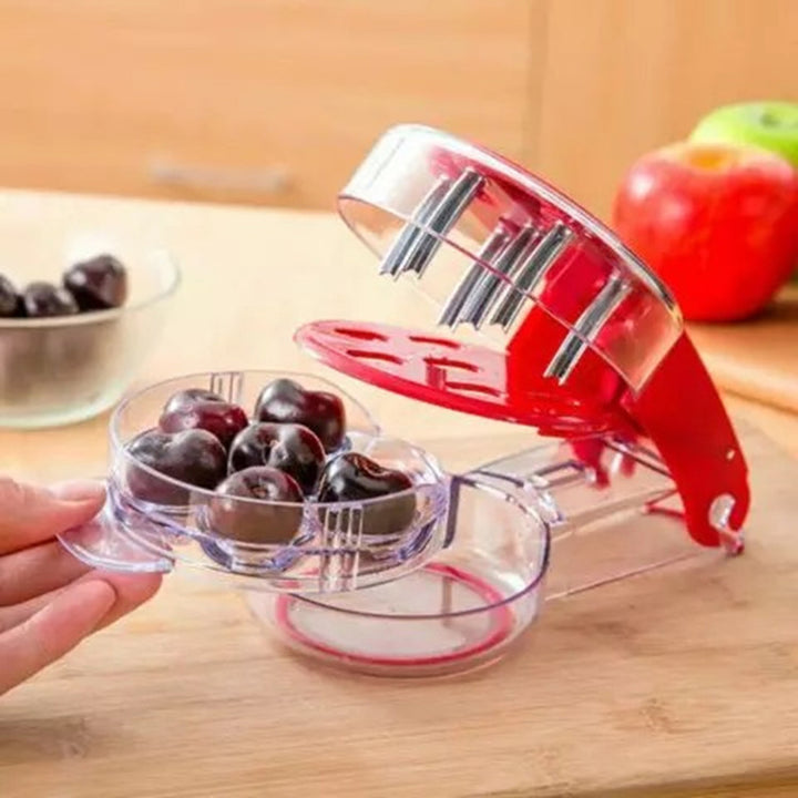 Cherry Stone Remover Seed Separator Pitter Olive Pit Remove Fruit Corer Tool freeshipping - Etreasurs