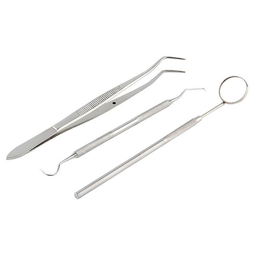 3 in 1 Stainless Steel Dental Tool Dentist Tooth Clean Probe Tweezers Mirror Set freeshipping - Etreasurs