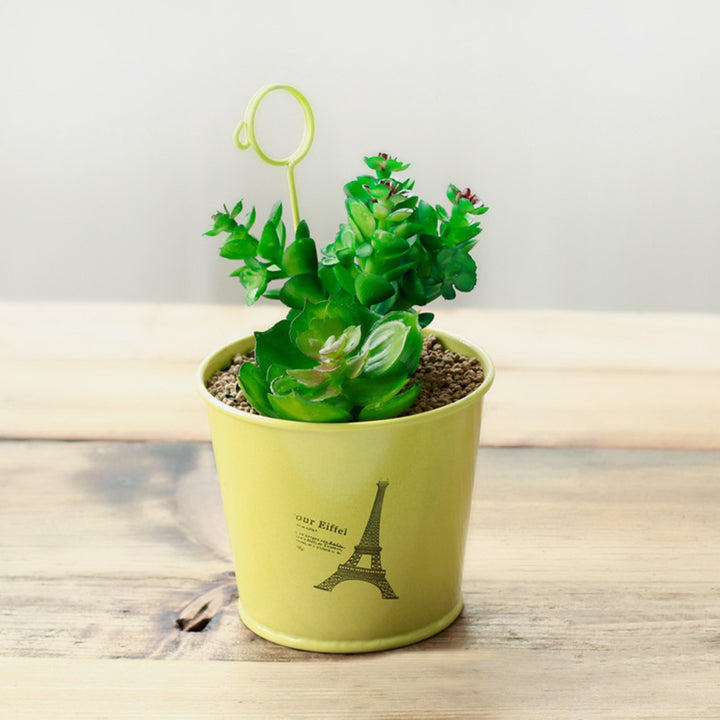 Succulent Plant Potted Mini Bonsai with Iron Flowerpot Cute Home Desktop Decor freeshipping - Etreasurs