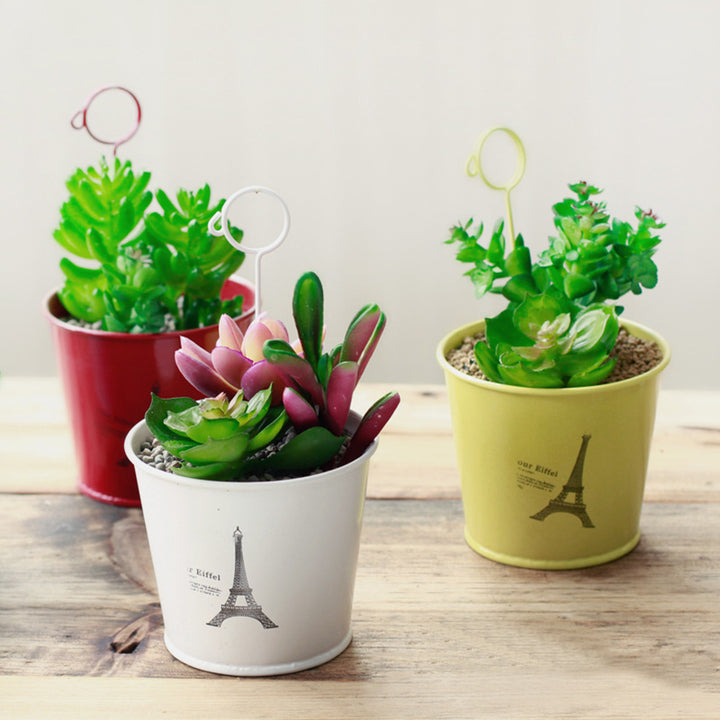 Succulent Plant Potted Mini Bonsai with Iron Flowerpot Cute Home Desktop Decor freeshipping - Etreasurs