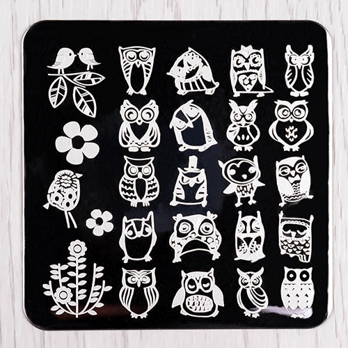 1 Sheet Nail Art Stamp Template Owl Design Flower Pretty Image Plate Tool freeshipping - Etreasurs