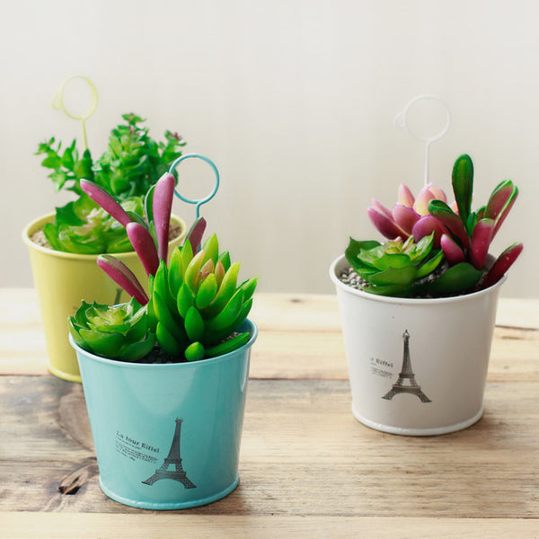 Succulent Plant Potted Mini Bonsai with Iron Flowerpot Cute Home Desktop Decor freeshipping - Etreasurs