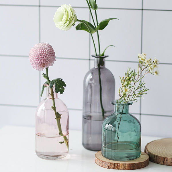 Vase Living Room Dried Flowers Nordic Ins Style Glass Transparent Dill Home Decoration Accessories Flower Vases For Homes freeshipping - Etreasurs