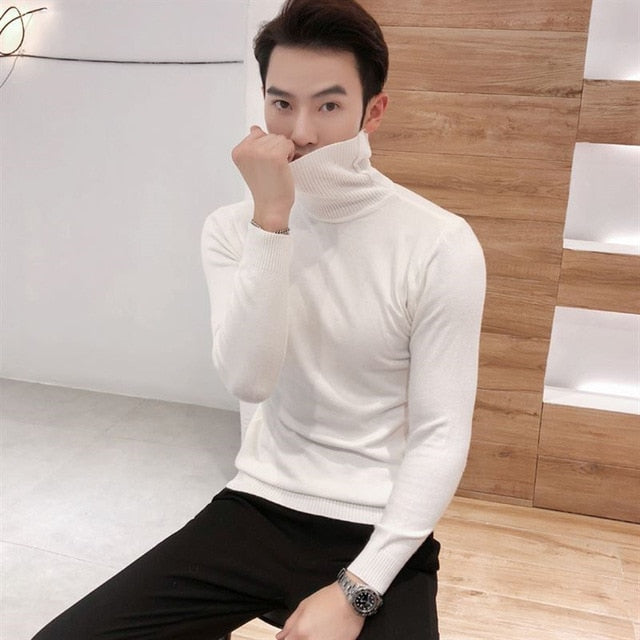 2019 Winter New Men's Turtleneck Sweaters Black Sexy Brand Knitted Pullovers Men Solid Color Casual Male Sweater Autumn Knitwear freeshipping - Etreasurs
