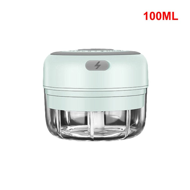 Electric Food Crusher Mini Garlic Press Garlic Crusher Vegetable Chopper For Kitchen Crushed Garlic Crushed Ginger Crushed Chili freeshipping - Etreasurs