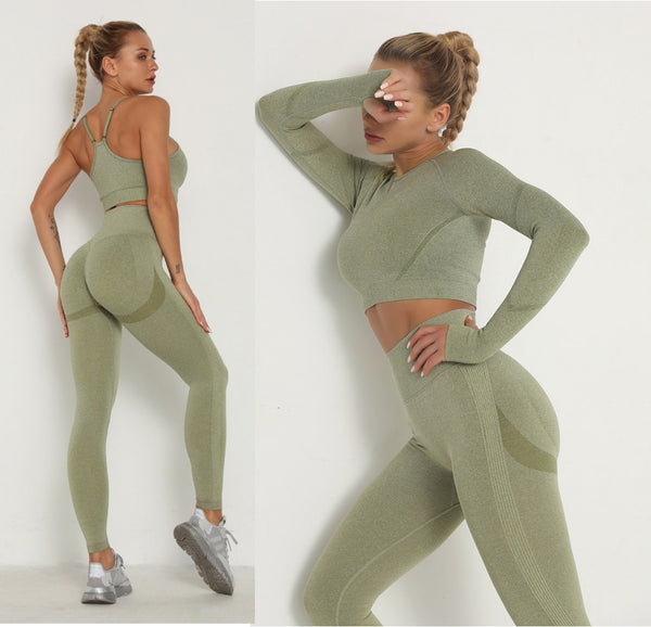 Women's Sets Skinny Tracksuit Breathable Bra Long Sleeve Top Seamless Outfits High Waist Push Up Leggings Gym Clothes Sport Suit freeshipping - Etreasurs